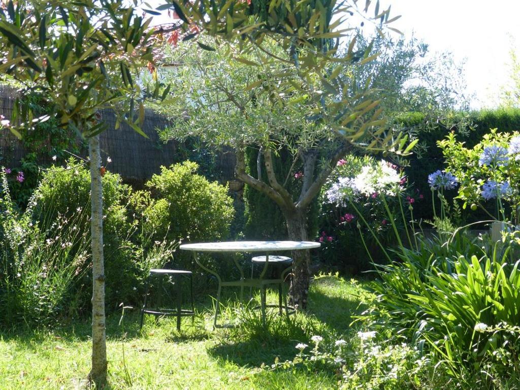 Casa-Tena-Sorède Rom bilde