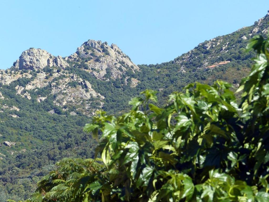 Casa-Tena-Sorède Rom bilde