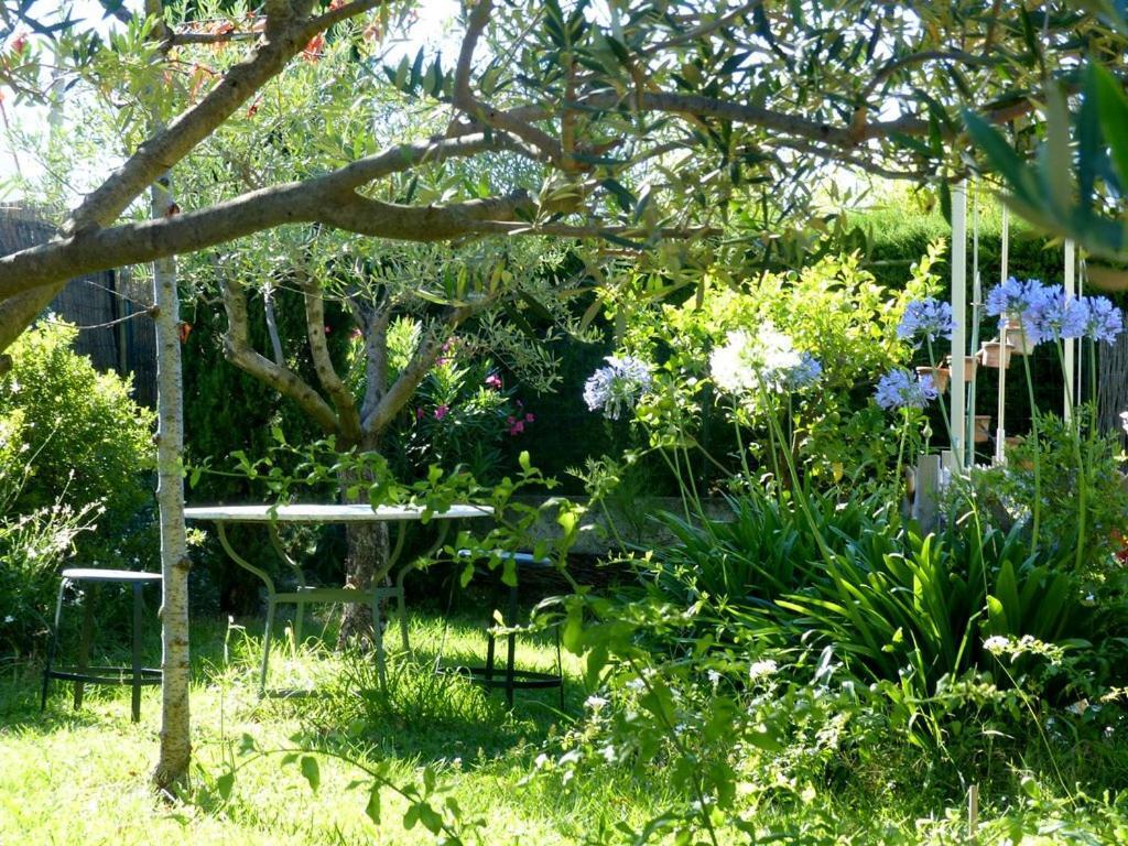 Casa-Tena-Sorède Rom bilde